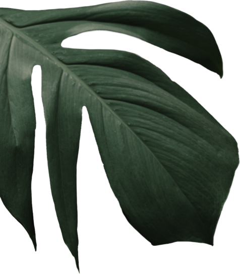 Simply Mediterranean