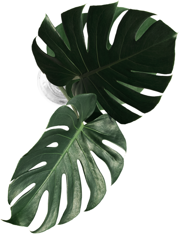 Simply Mediterranean