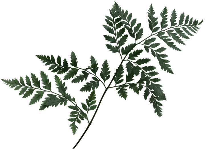 Simply Mediterranean