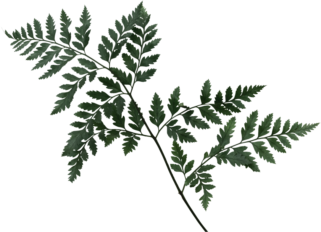 Simply Mediterranean